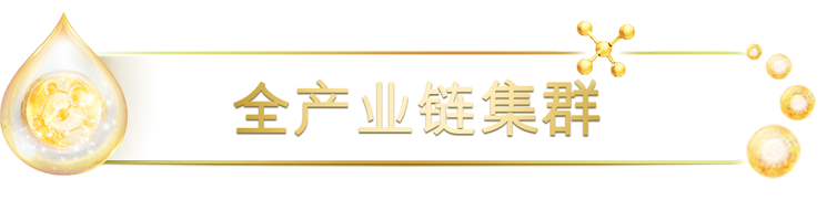 全產(chǎn)業(yè)鏈集群